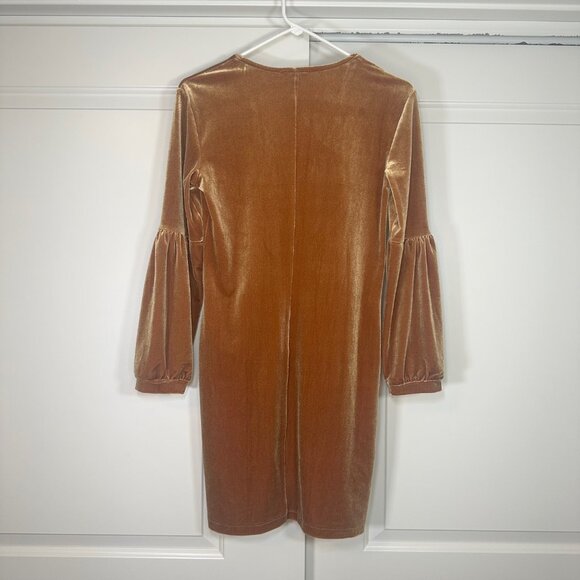 Madewell Velvet Balloon-Sleeve Dress in Burnt Sienna XS - Picture 7 of 14